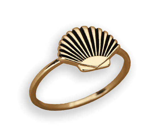 Anillo Concha Para Mujeres En Forma De Concha De Vieira