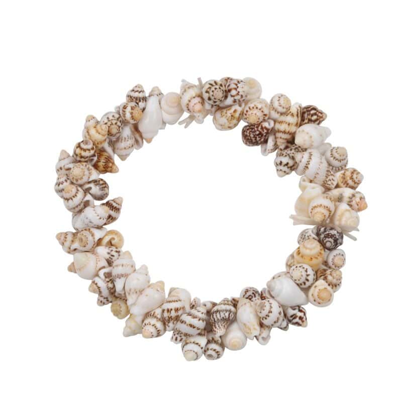 Pulsera Conchas Nassarius