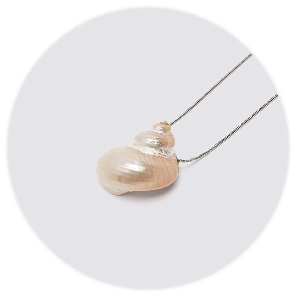 Collar De Conchas Turbo Nacarado