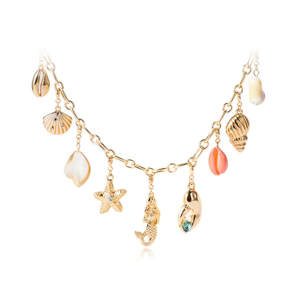 Collar De Conchas Amuletos