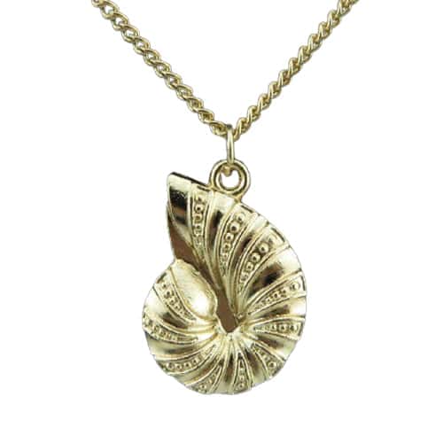 Collar De Conchas Caracol De Oro